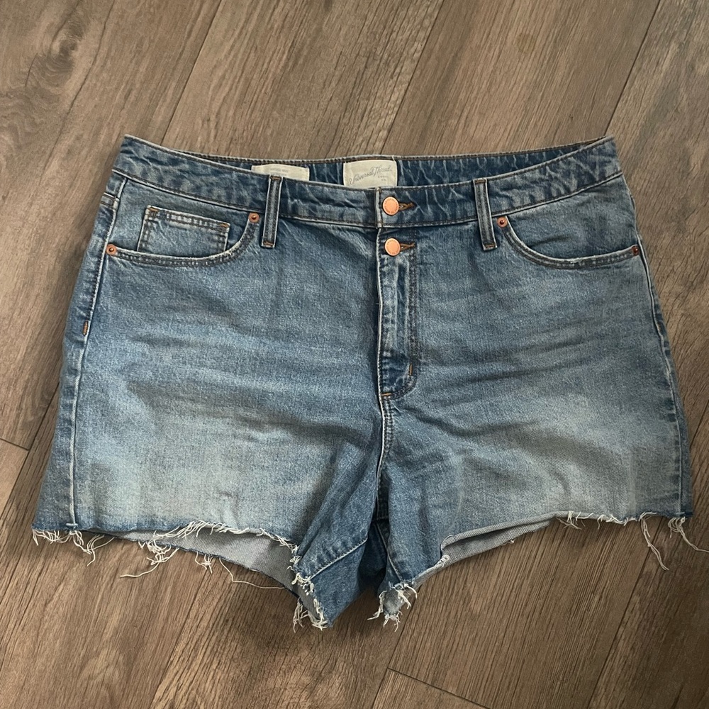 Cutoff Denim Shorts